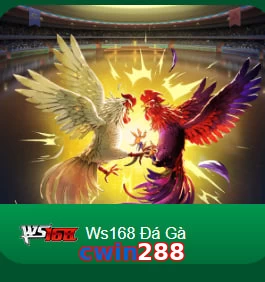 cwin288